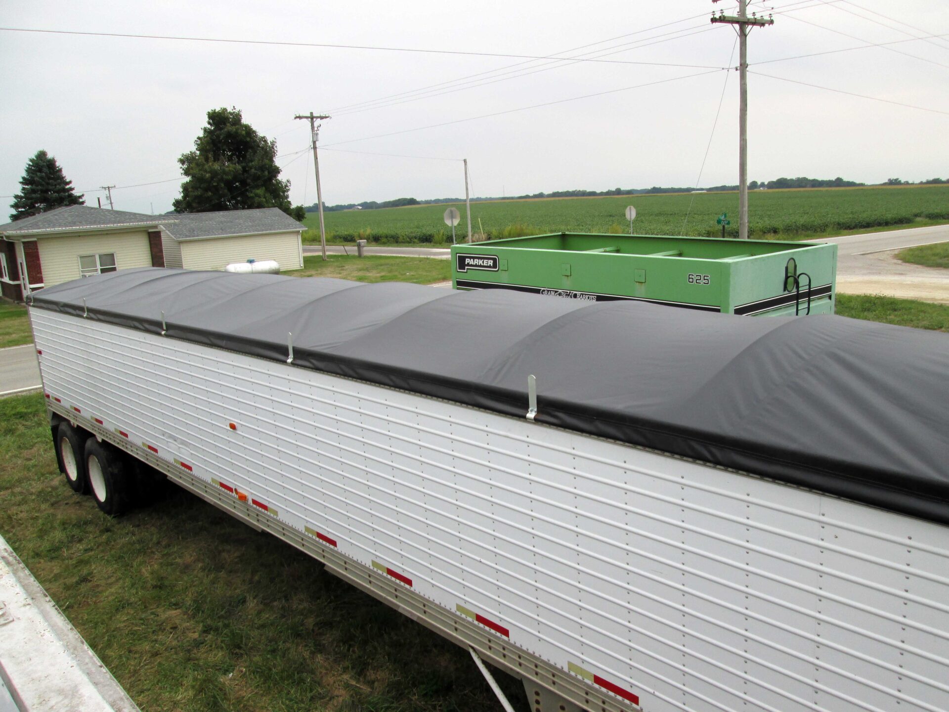 tarp-3 tarps